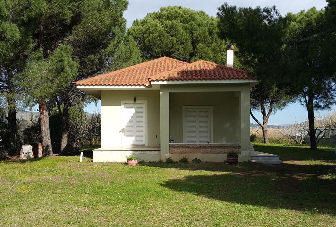 Villa Sunny Day Марафон Экстерьер фото